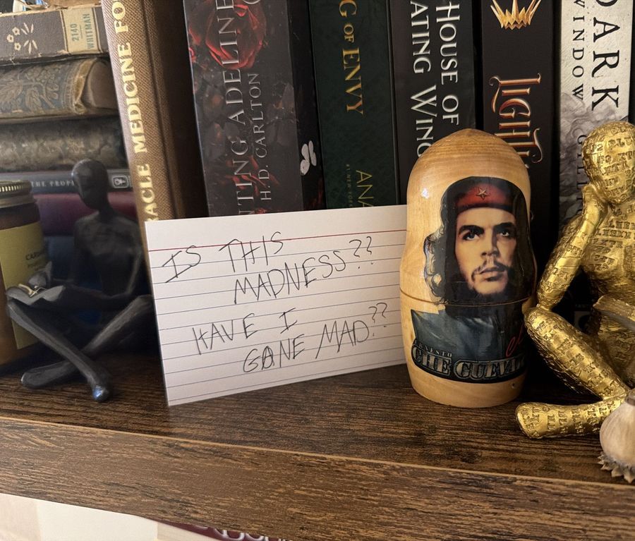 An index card on the bookshelf: IS THIS MADNESS?? HAVE I GONE MAD?? beside a Che Guevara nesting doll and a gold figure reading.